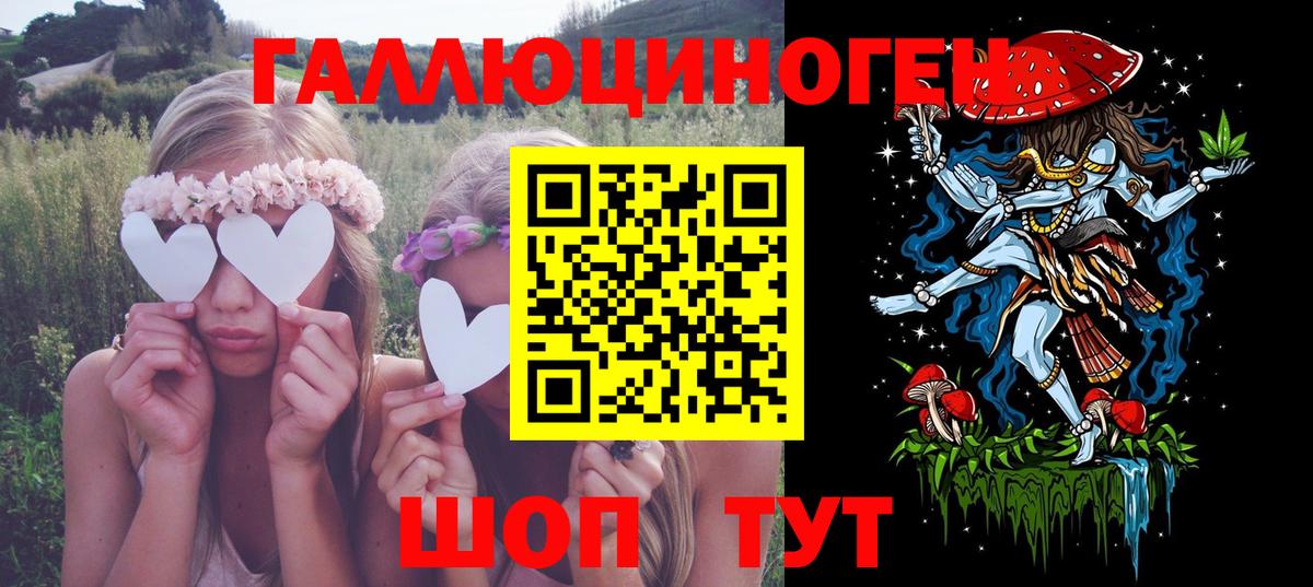 Псилоцибиновые грибы Psilocybine cubensis Минеральные Воды
